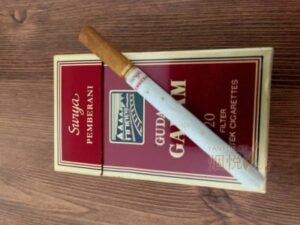 Gudang Garam Surya 20 Indonesia
