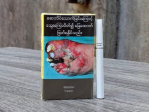 Winston Caster ราคา