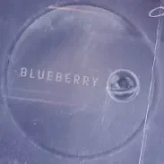 Canyon Blueberry ของแท้ 100