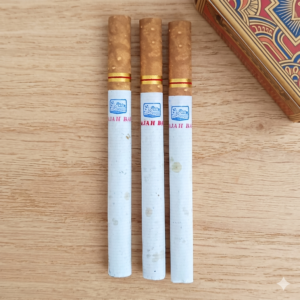 Gudang Garam Indonesia