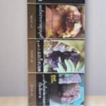 iscore 5.0 (2เม็ดบีบ)