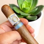 Alec Bradley Project 40 บุหรี่ระดับพรีเมียม 🚬