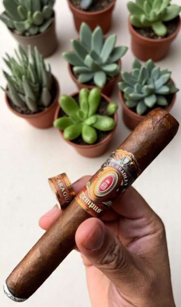 Alec Bradley Tempus Nicaragua รสชาติกลมกลืนที่คุณต้องลอง 🍃