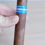 Cohiba Blue Robusto 5.5×50 (20มวน)