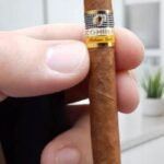 Cohiba Habana Cuba Short (10มวน)