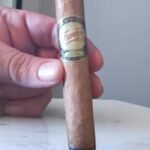 Famous Habano 5×50 (20มวน)