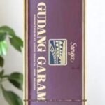 Gudang Garam Surya (12มวน)