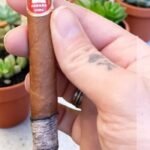 H.Upmann Coronas Junior 4½x36 (25มวน)