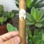 Oliva Connecticut Reserve Toro 6×50 (20มวน)