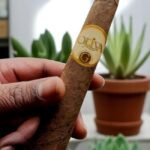 Oliva Serie G Cameroon Figurado 6×60 (24มวน)