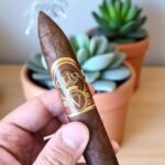 Oliva Serie V Belicoso 5×54 (20มวน)