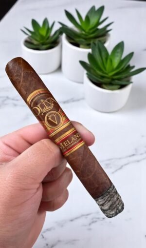 Oliva Serie V Melanio Maduro 6×52 (10มวน)