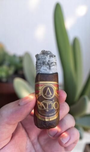 Oliva Serie V Melanio Robusto 5×52 (10มวน)
