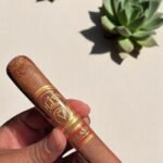 Oliva Serie V Melanio Toro 6×52 (10มวน)