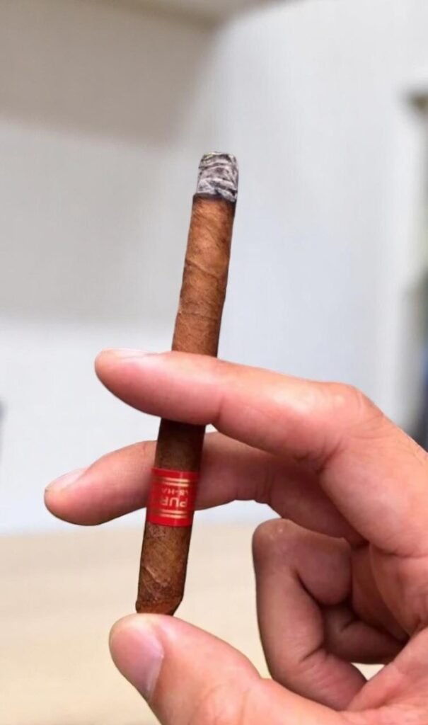 Partagas Habana Cuba 5 Puritos Review