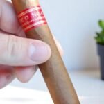 Cuban Partagas Serie D No.4