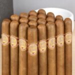 Rocky Patel Seed To Shade cigar