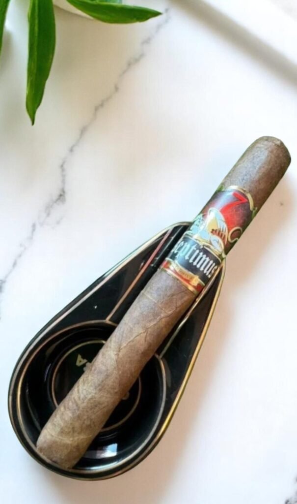 Septimus Toro Corojo 6×50 flavor