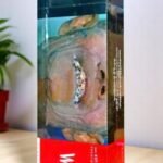 Winston Classic (ลิขสิทธิ์พม่า)