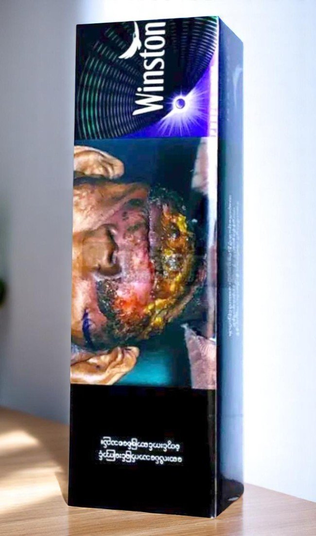 Winston Purple Mint (1เม็ดบีบ)