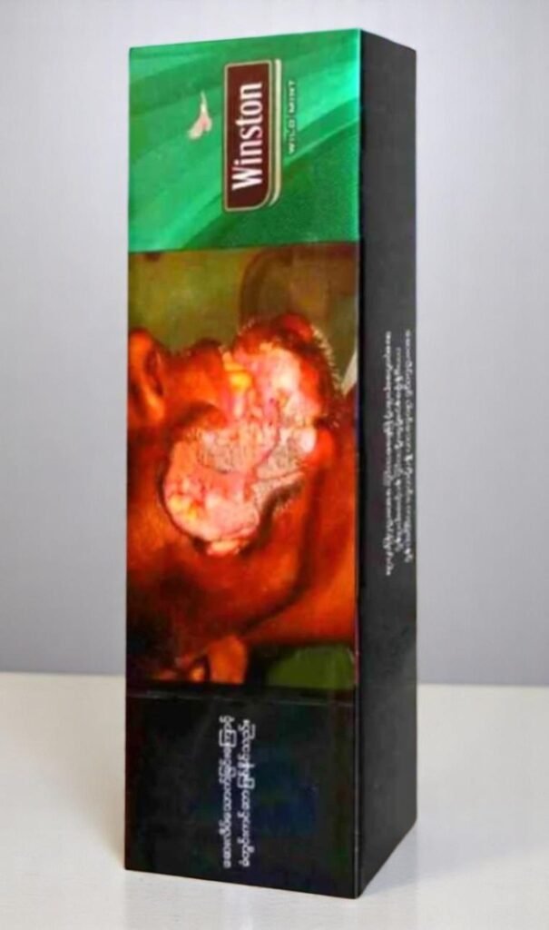 Winston Caster Where to Buy