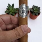 Zino Platinum Scepter Grand Master (51/2 x 52)