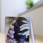 iscore 5.0 (ซองอ่อน)