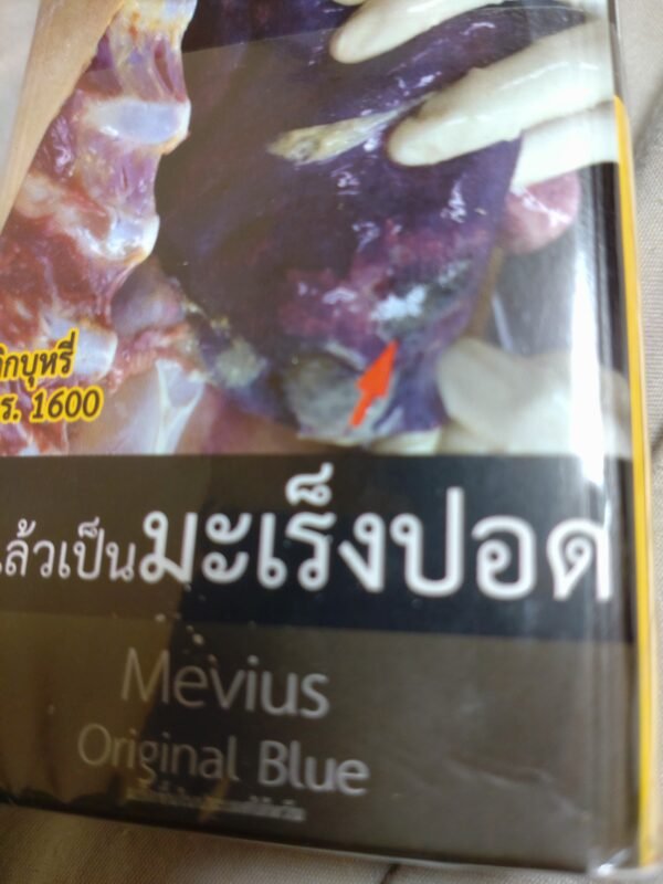Mevius Sky Blue การจัดส่ง